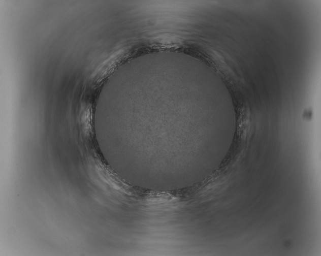 X0000111810866200907301231