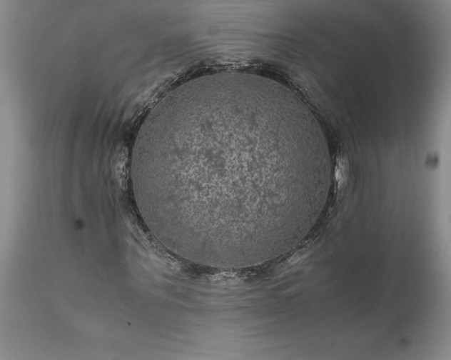 X0000111810867200907301231