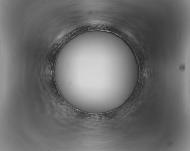 X0000111810869200907301231