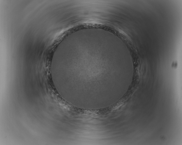 X0000111810870200907301231