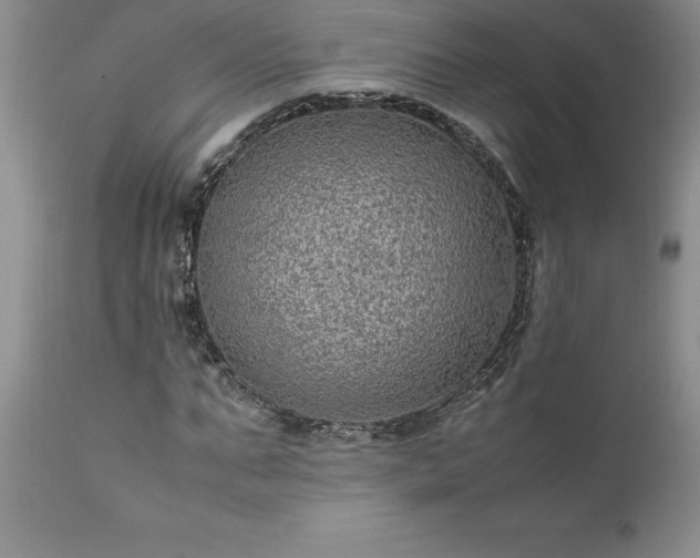 X0000111810871200907301231