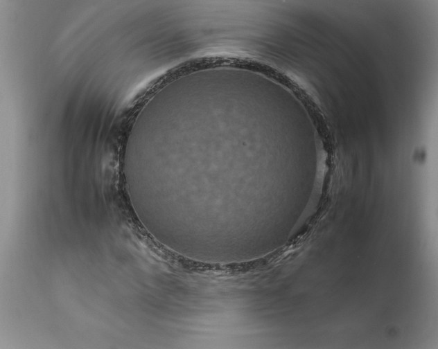 X0000111810872200907301231