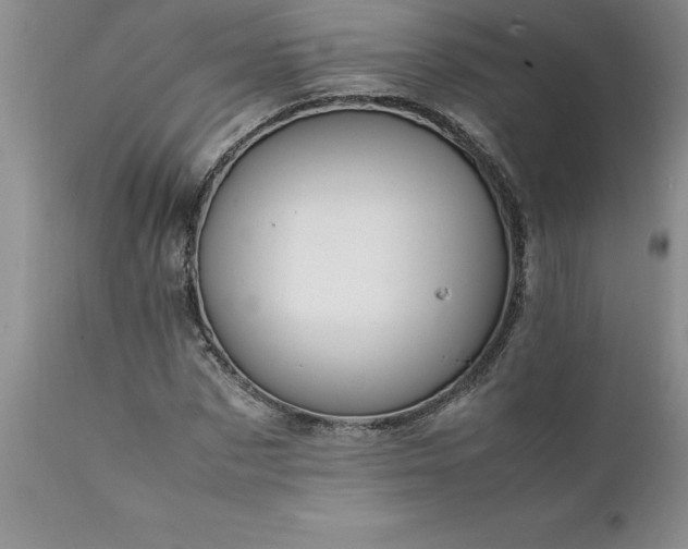 X0000111810873200907301231