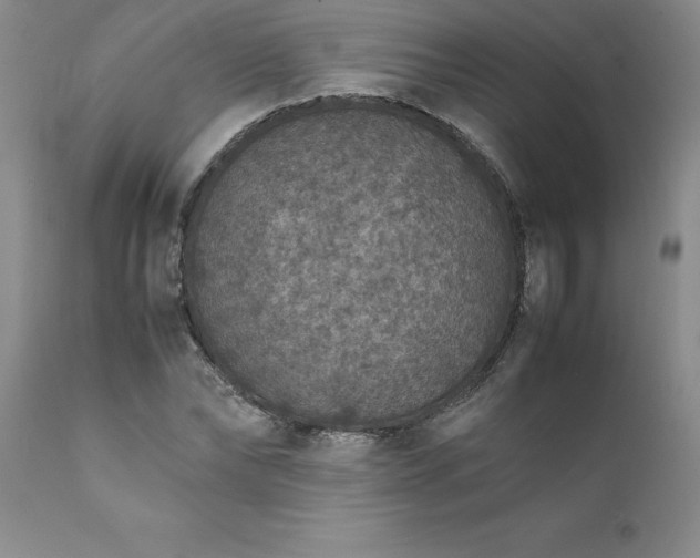 X0000111810878200907301231