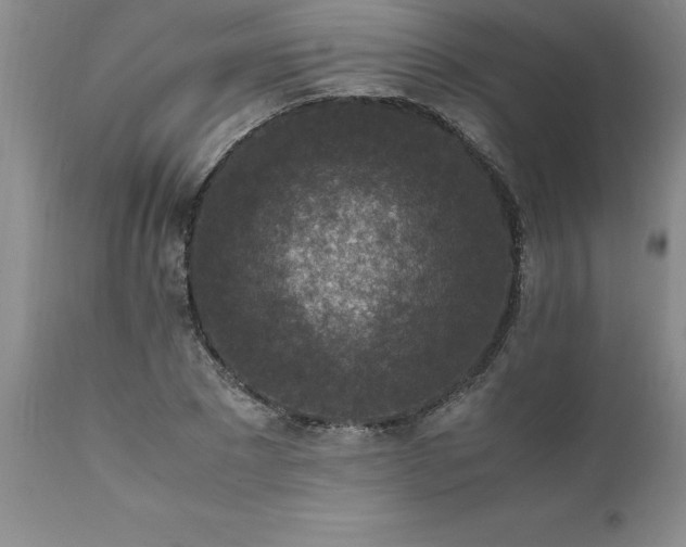 X0000111810881200907301231