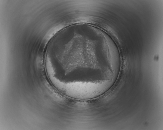 X0000111810882200907301231