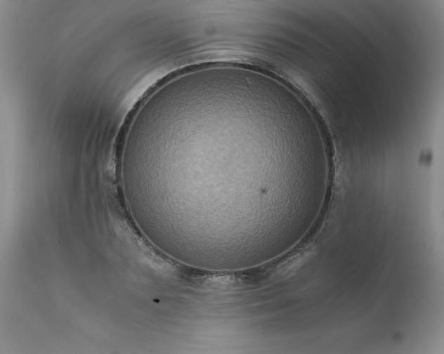 X0000111810883200907301231