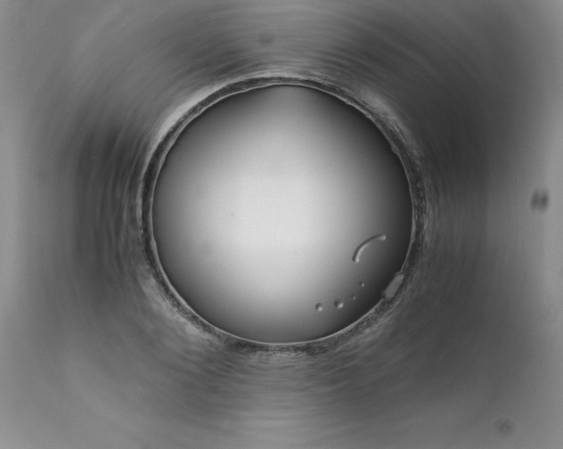 X0000111810884200907301230