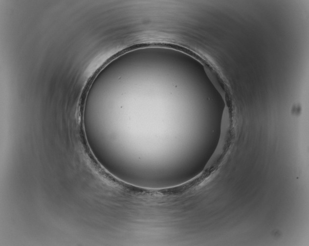X0000111810885200907301230