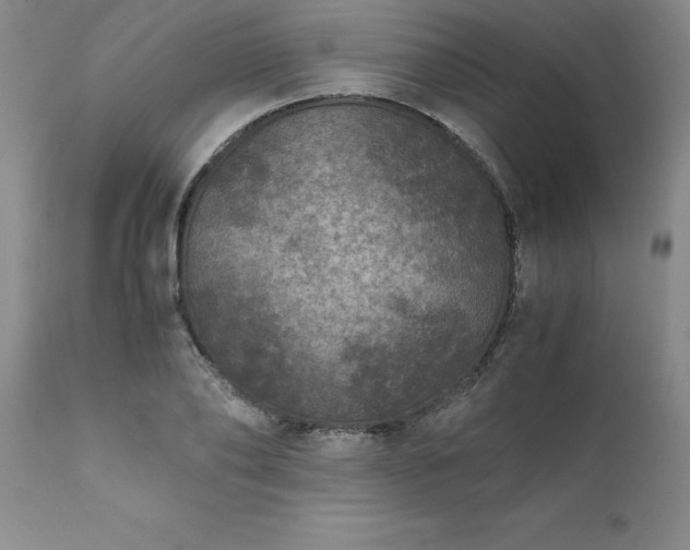 X0000111810886200907301230