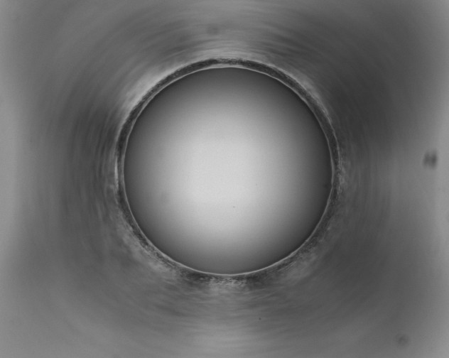 X0000111810887200907301230