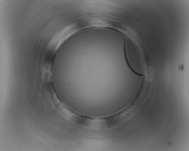 X0000111810889200907301230