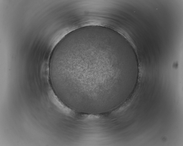 X0000111810890200907301230