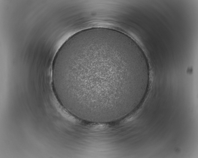 X0000111810891200907301230