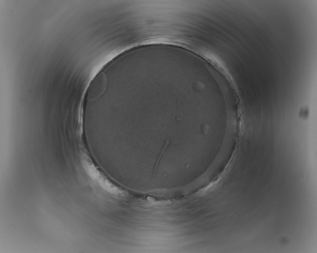 X0000111810892200907301230
