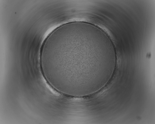 X0000111810894200907301230