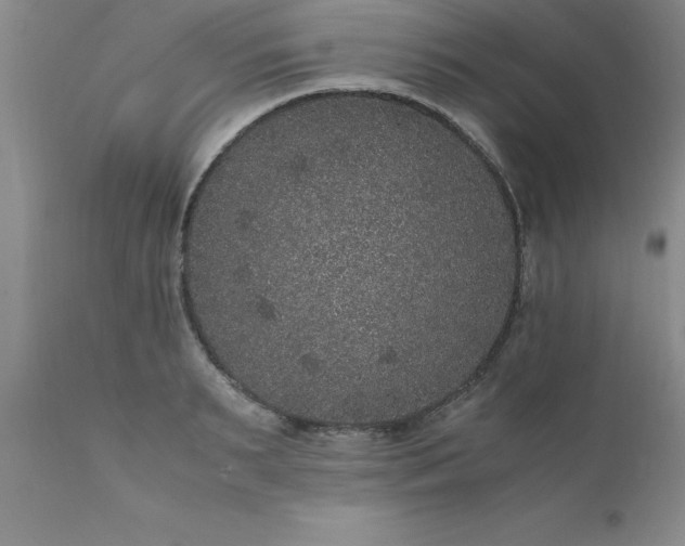 X0000111810895200907301230