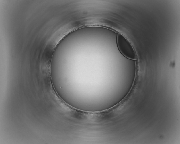X0000111810897200907301230