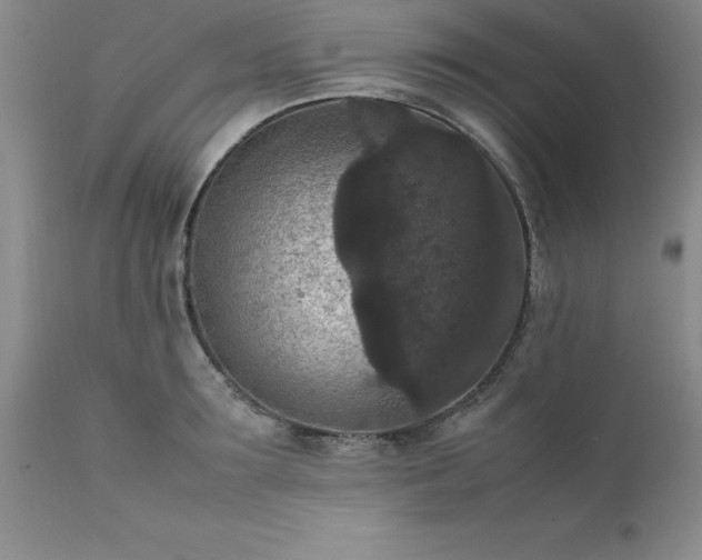 X0000111810899200907301230