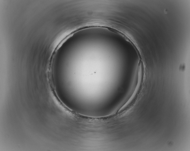 X0000111810901200907301230