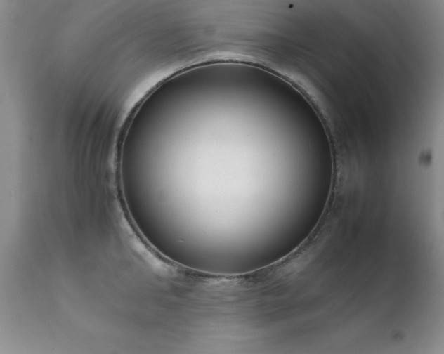 X0000111810902200907301230