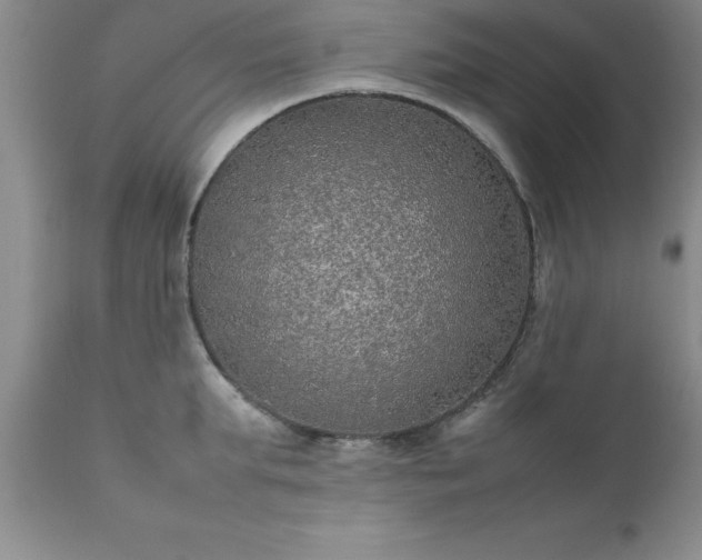 X0000111810903200907301230