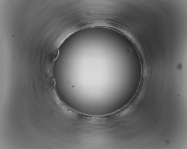 X0000111810905200907301230
