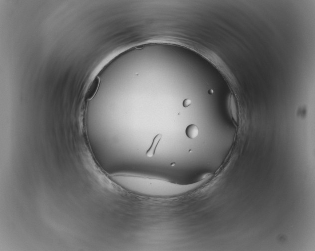 X0000111810908200907301230