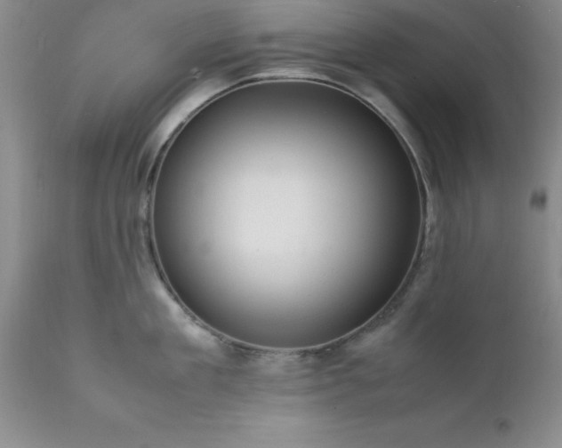 X0000111810909200907301230