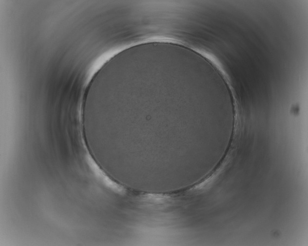 X0000111810910200907301230