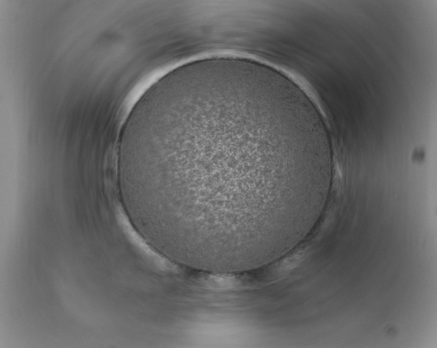X0000111810911200907301230