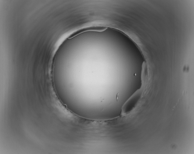 X0000111810912200907301230