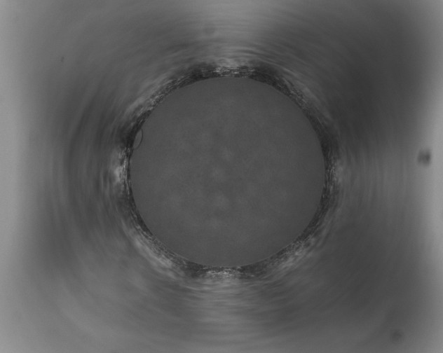 X0000111810914200907301229