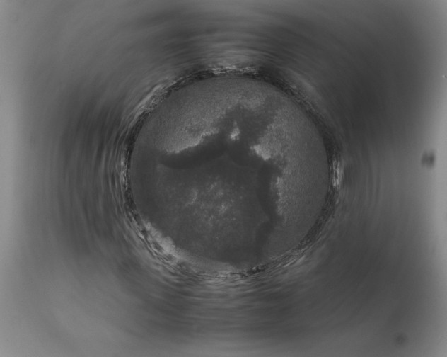 X0000111810915200907301229