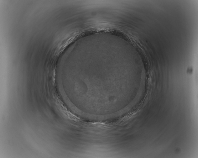 X0000111810916200907301229