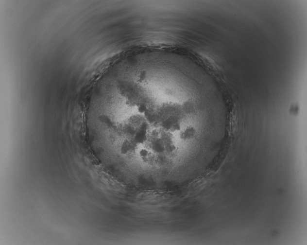 X0000111810917200907301229