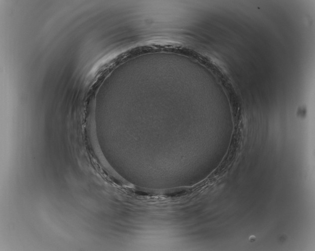 X0000111810920200907301229