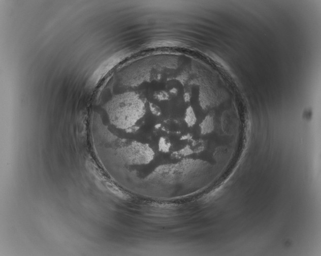 X0000111810921200907301229