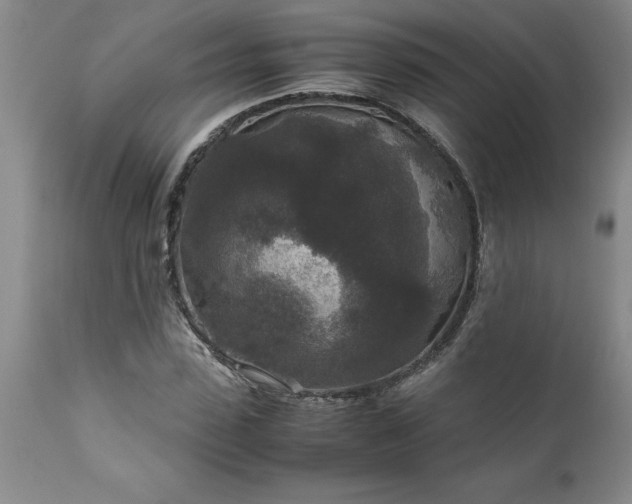 X0000111810923200907301229