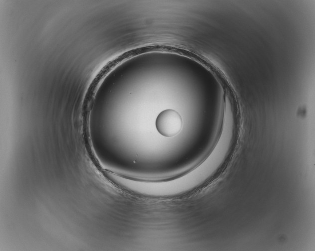 X0000111810924200907301229