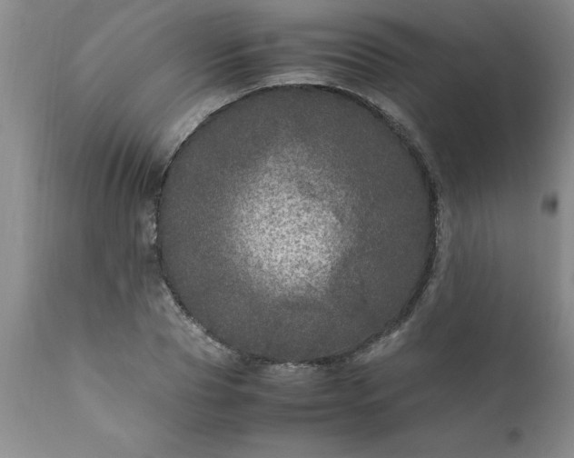X0000111810929200907301229