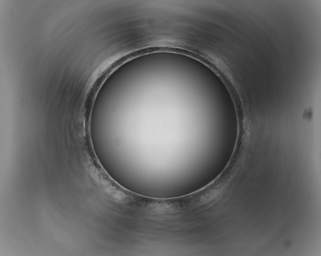 X0000111810931200907301230