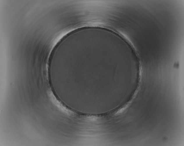 X0000111810932200907301230