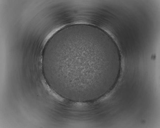 X0000111810933200907301230