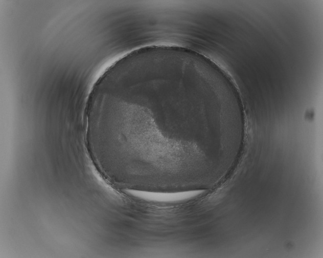 X0000111810935200907301230