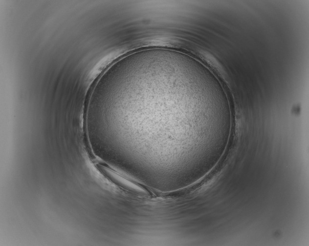 X0000111810938200907301230