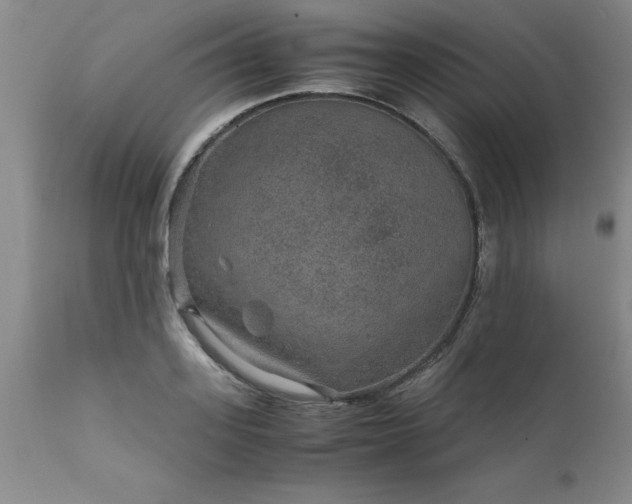 X0000111810939200907301230