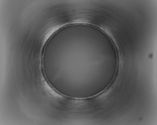 X0000111810941200907301230