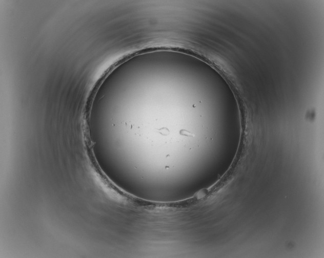 X0000111810942200907301230