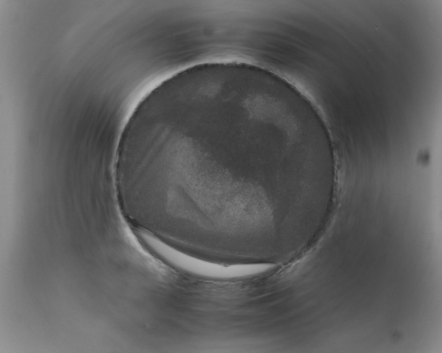X0000111810943200907301230